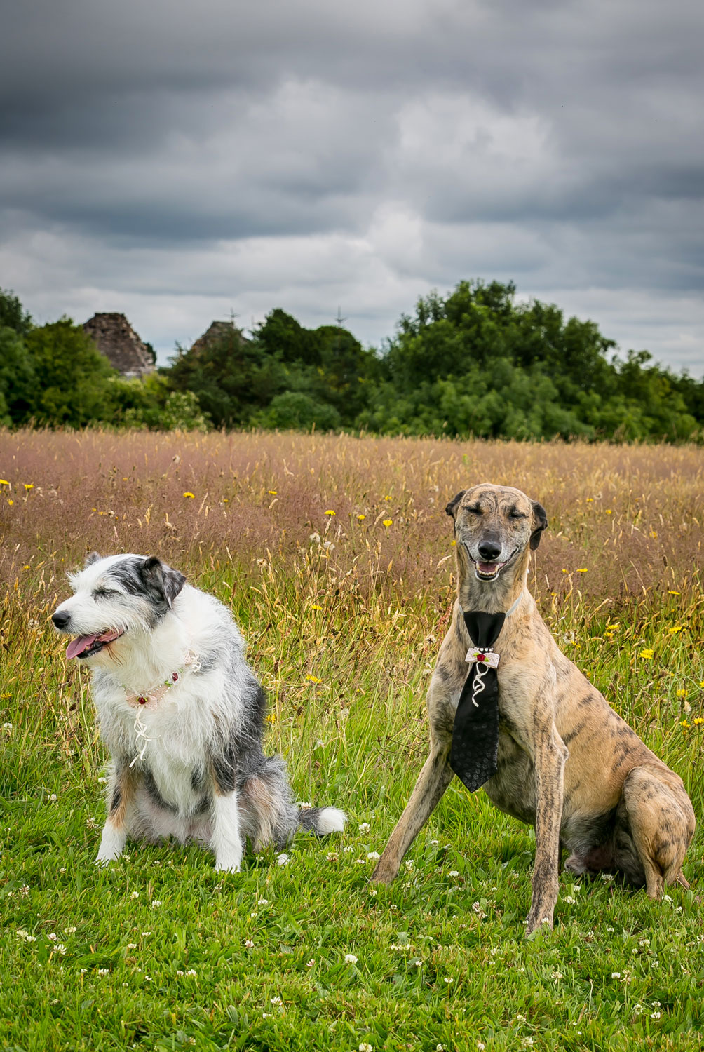 portrait photographer Ireland