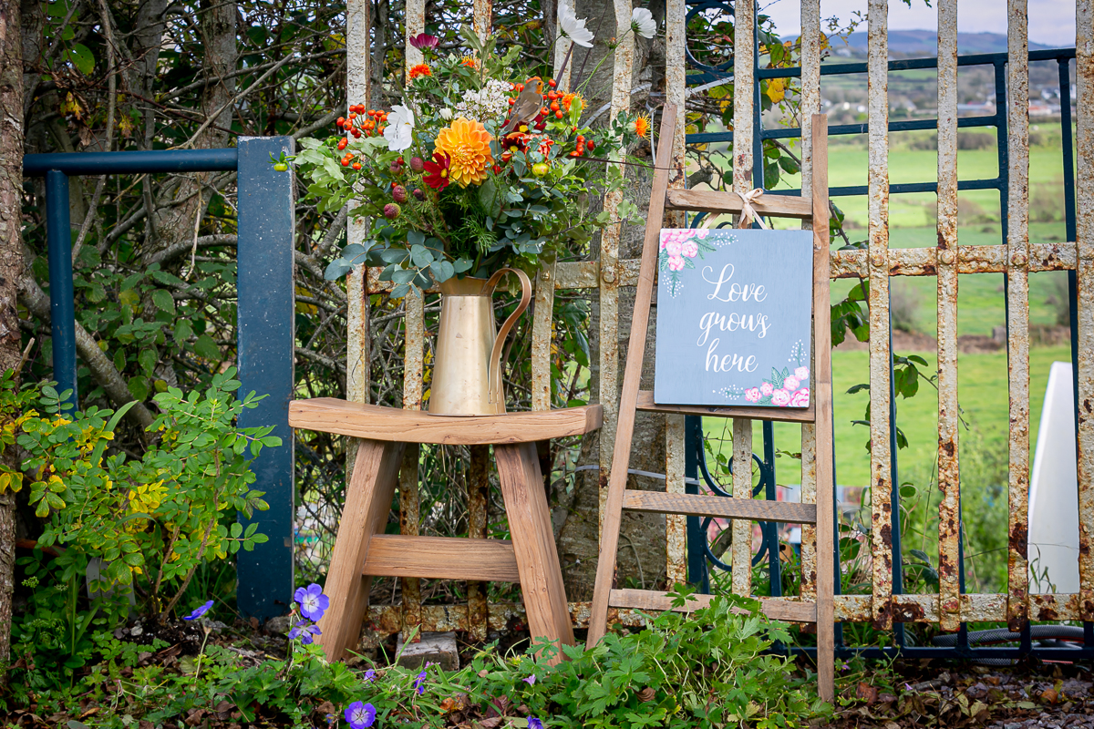 corporate photography ciara o'donnell, maura's cottage flowers