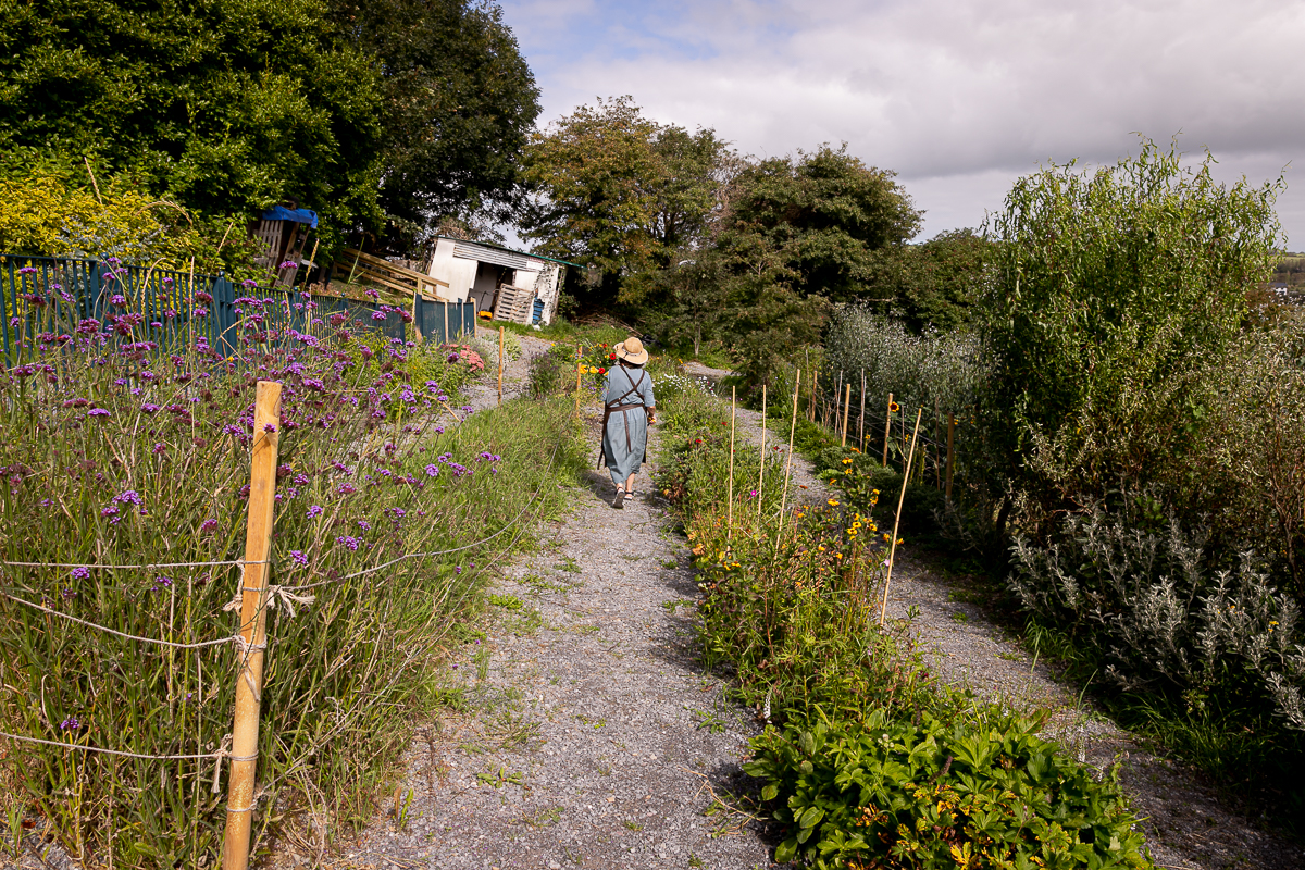 corporate photography ciara o'donnell, maura's cottage flowers
