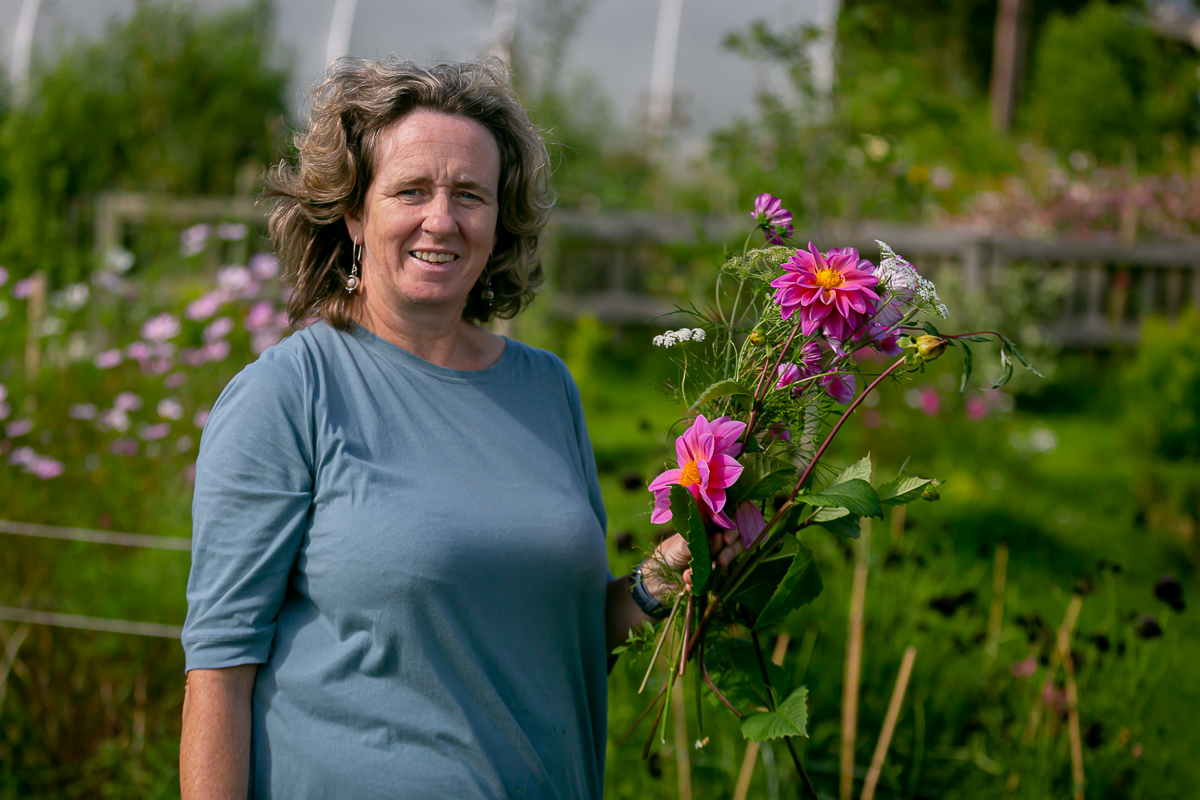 corporate photography ciara o'donnell, maura's cottage flowers