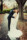 bride and groom portrait st stephens green dublin