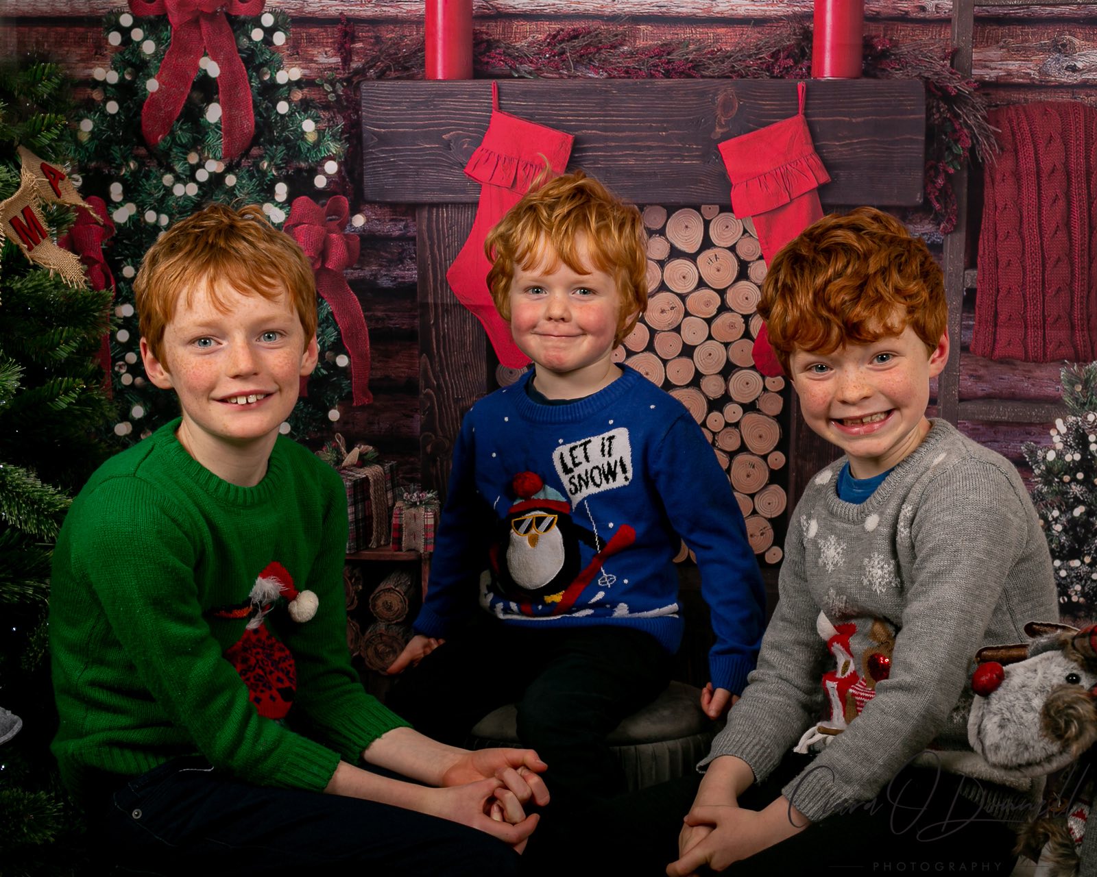 festive family portraits Christmas kerry