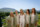 landscape image of the bridal party in the foreground of the killarney mountains with blue skies