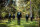 The groom with his groomsmen stood interspersed in a green clearing with woods in the background on a sunny day