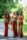 The bridesmaids are photographed holding their wedding bouquets and wearing red with the newlyweds daughter standing in front wearing white, surrounded by sunshine and the green foliage of Ballyseede castle hotel grounds.