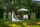 side profile of bride in wide shot image of ice cream cart and wedding party surrounded y trees and greenery at the dunloe hotel