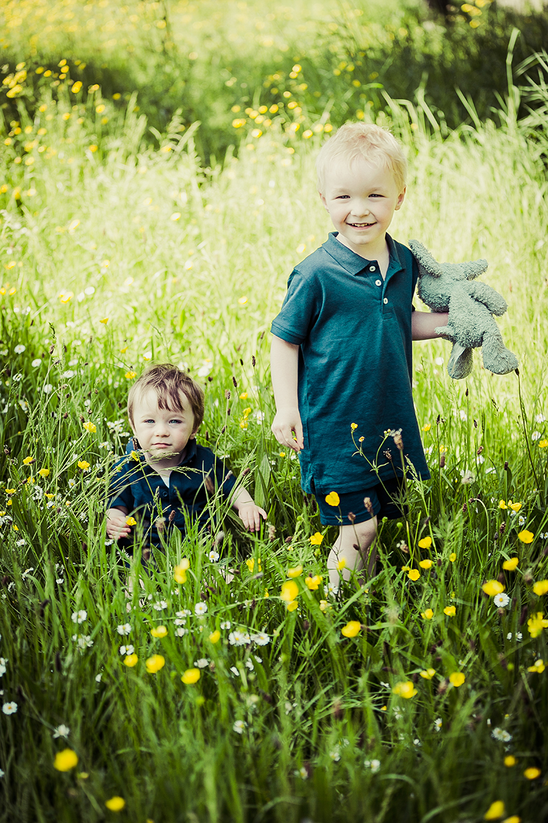 Family portrait of two young brothers playing in the grass of a flower field in Dublin.