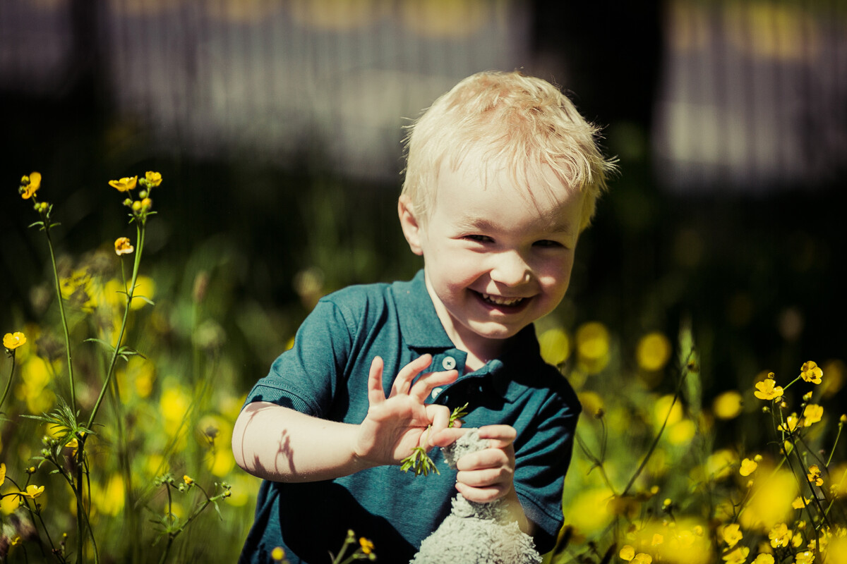 Portrait of a little boy smiling at the camera holding a teddy bear surrounded by flowers in a Dublin park.