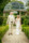 Husband and wife are pictured walking along a path lined by green hedges towards the camera with the stone gazebo, hedges and trees of Ballyseede castle gardens in the background.