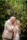 Husband and wife share a kiss in front of the green bamboo on the grounds of Ballyseede castle.